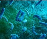 Superbugs spread in the absence of antibiotics