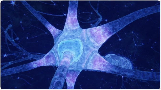 Cell body of a neuron