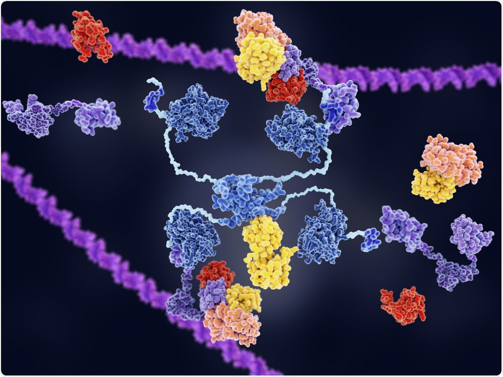 p53 is an example of a tumor suppressor