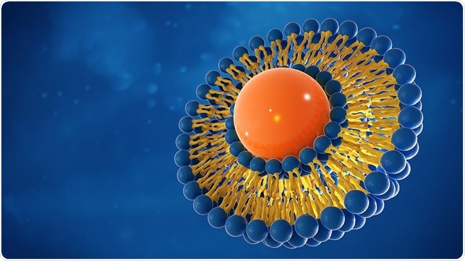Characterization of Liposomes