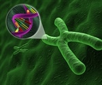 Scientists use ultrasound to detect active genes in live cells