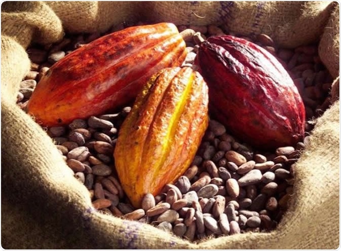Cognitive function is improved with a diet high in cocoa flavanols -- a group of naturally occurring bioactives found in fresh cocoa beans. image Credit: Mars, Incorporated