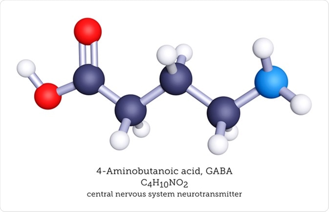 GABA is an inhibitory neurotransmitter of the nervous system.  Image Credit: Molecular Arts / Shutterstock