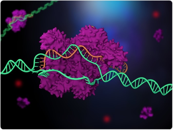 3D illustration of CRISPR-Cas9 genome editing system. Image Credit: Meletios Verras / Shutterstock