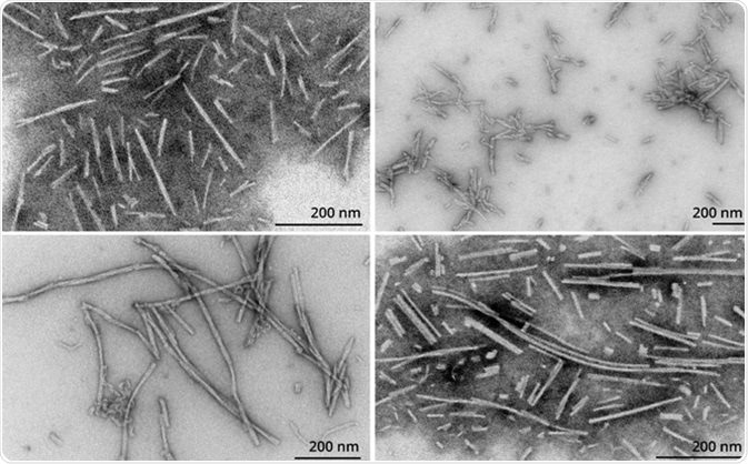 TEM of Type 1 PFFs (SPR-322) (TL); Type 2 PFFs (SPR-317) (TR); Type 3 PFFs (SPR-448) (BL); Filaments (SPR-450) (BR).