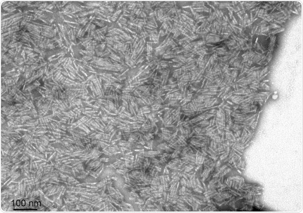TEM of Human Recombinant Transthyretin L55P Variant Protein Filaments (SPR-464)