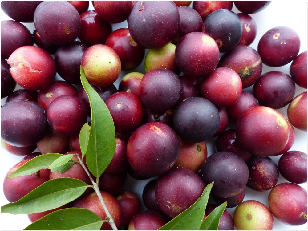 Camu Camu Fruits