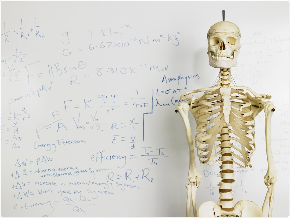 Skeleton by Whiteboard