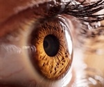 $3.3 million study to explore eye health in patients with prediabetes and diabetes