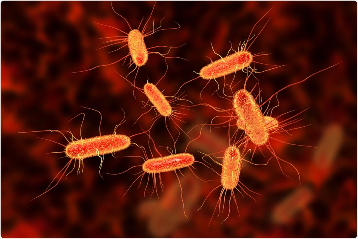 Study: Co-infection in critically ill patients with COVID-19: An observational cohort study from England. Image Credit: Kateryna Kon / Shutterstock