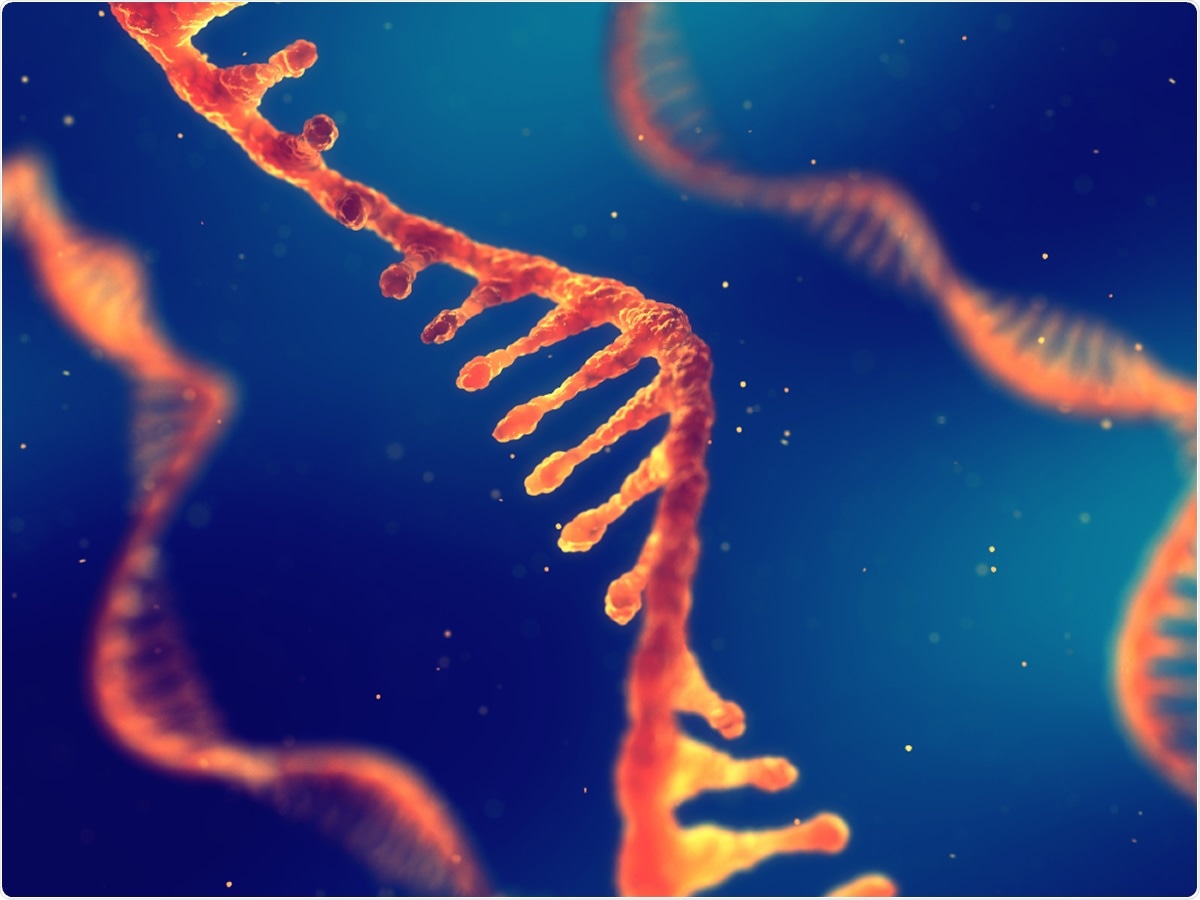 Study: Small Non-coding RNAs: Do They Encode Answers for Controlling SARS-CoV-2 in the Future? Image Credit: nobeastsofierce / Shutterstock