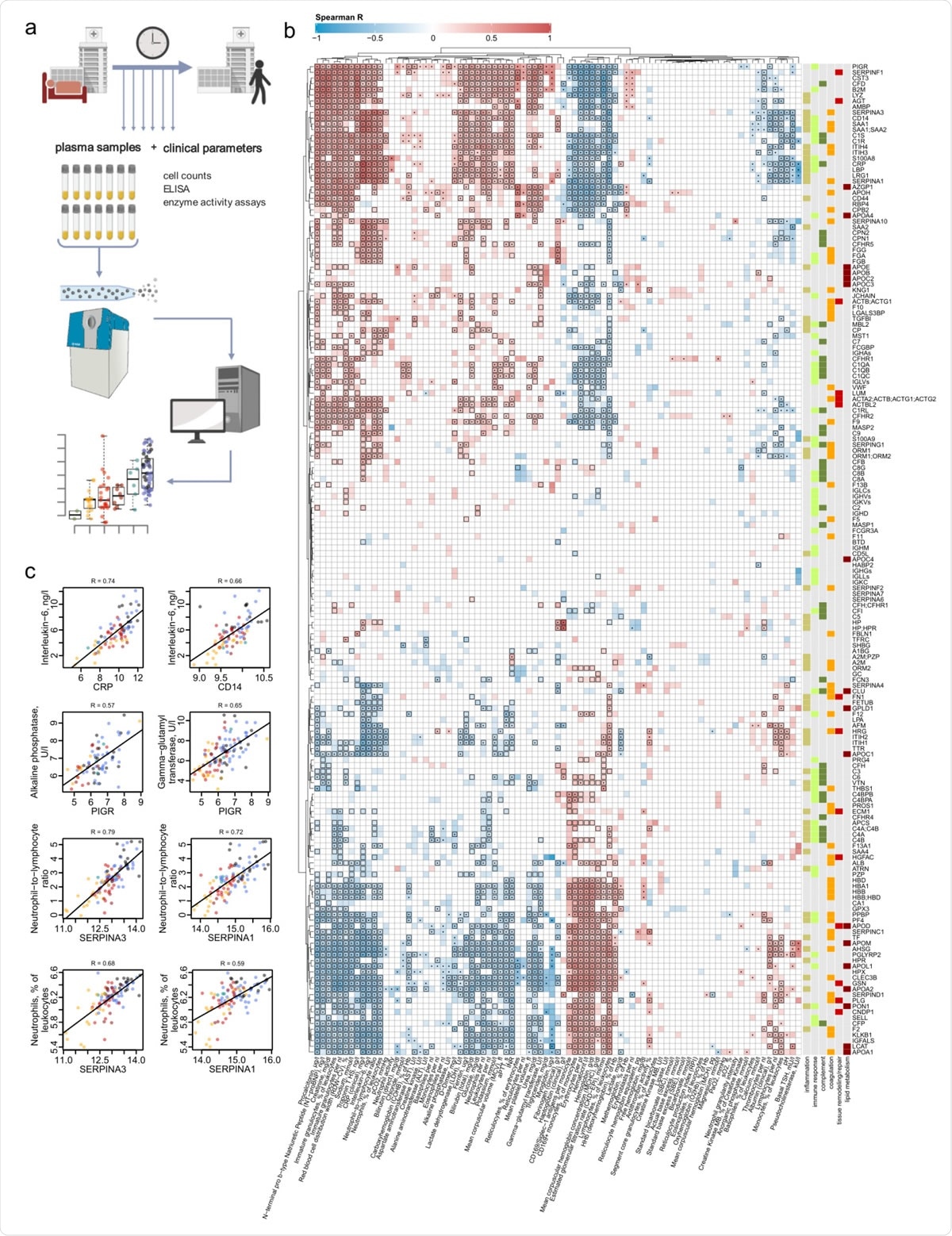 Interdependence of clinical, diagnostic, physiological and proteomic parameters in COVID-19. a. Study design. Schematic of the cohort of 139 patients with PCR confirmed SARS-CoV-2 infection treated at Charité University Hospital Berlin. Plasma proteomics and accredited diagnostic tests were applied at 687 sampling points, to generate high-resolution time series data for 86 routine diagnostic parameters and 309 protein quantities b. Covariation map for plasma proteins and routine diagnostic and physiological parameters (log2-transformed). Statistically significant correlations (Spearman; P < 0.05) are coloured. Dots indicate statistical significance after row-wise multiple-testing correction (FDR < 0.05), black rectangles – column-wise.