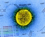 Translational study within SARS-CoV-2 infected cells opens up new therapeutic avenues