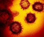 Strict measures to halt coronavirus spread will reduce deaths