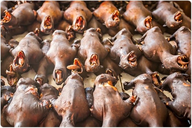 Roasted bats at Tomohon market, Sulawesi, Indonesia. Image Credit: Sony Herdiana / Shutterstock