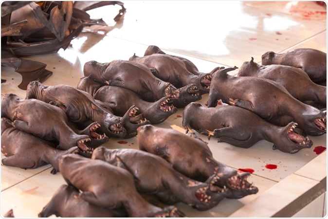 A traditional market in Asia where bats are sold as food among like other animals as dogs or snakes. Image Credit: Maurizio Biso / Shutterstock