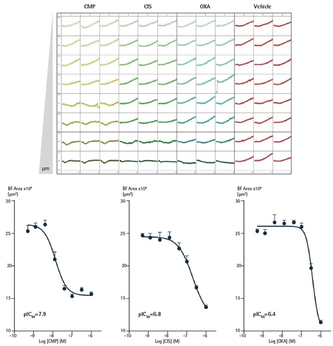 Effect of CMP, CIS and OXA on growth of SKOV3 cells in a 3D spheroid assay. SKOV3 cells were plated at a density of 5,000 cells/well and spheroid allowed to form (72 h). Cells were then treated with serial compound dilutions and kinetics of spheroid growth and shrinkage were obtained. Plateview shows the individual well Largest Brightfield area (µm2) over time. Concentration response curves represent the Largest Brightfield area (µm2) at 204 h post-treatment. Data were collected over 240 h period at 6 h intervals. Each data point represents mean ±SEM,