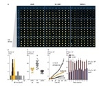 Live-Cell Assays for Pharmacological Utility and Validation