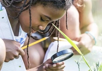 Incucyte® SX1 Live-Cell Analysis System