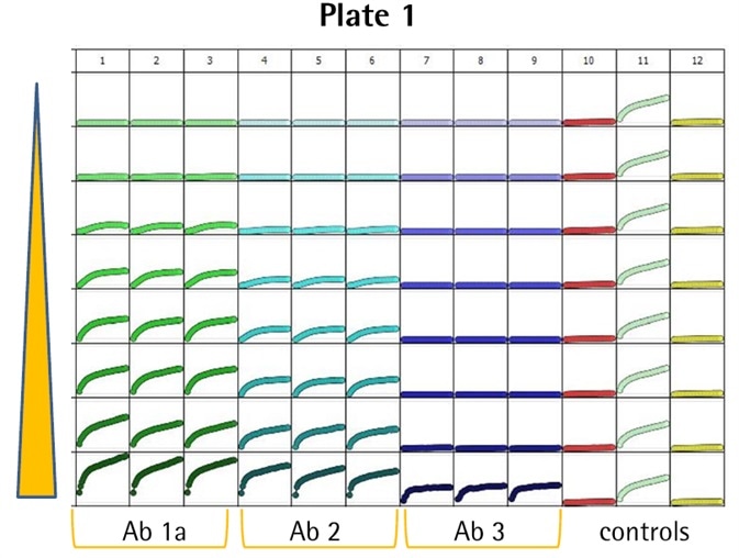 Cancer Drug Discovery Antibody Internalization Assays