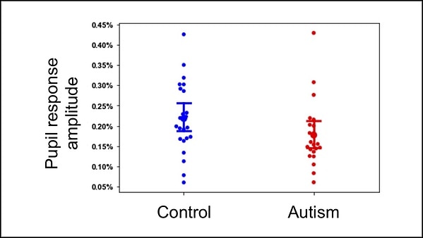 Dysregulation in the brainstem may explain atypical attentional behaviors in people with autism Dysregulation in the brainstem may explain atypical attentional behaviors in people with autism