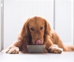 Raw-type dog food contains high levels of multidrug-resistant bacteria