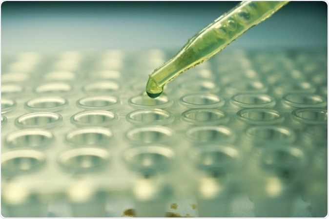 Image Credit: UC Santa Barbara