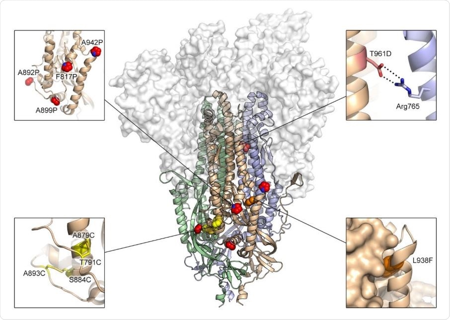 Exemplary substitutions for SARS-CoV-2 spike stabilization. Side view of the trimeric SARS-CoV-2 spike ectodomain in a prefusion conformation (PDB ID: 6VSB). The S1 domains are shown as a transparent molecular surface. The S2 domain for each protomer is shown as a ribbon diagram. Each inset corresponds to one of four types of spike modifications (proline, salt bridge, disulfide, cavity filling). Side chains in each inset are shown as red spheres (proline), yellow sticks (disulfide), red and blue sticks (salt bridge) and orange spheres (cavity filling).