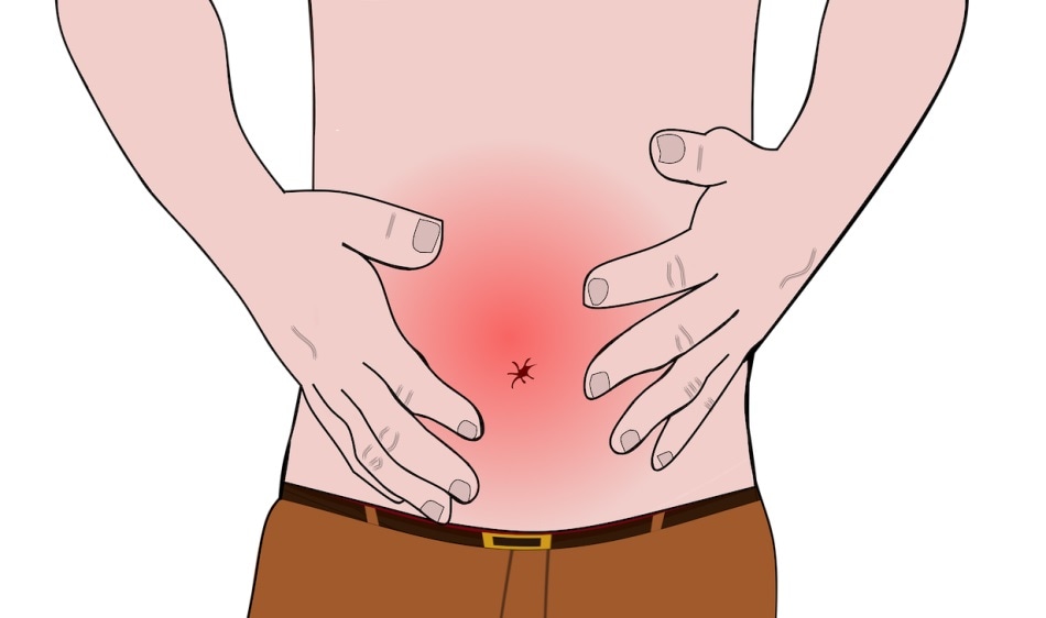 Defective maintenance puts intestinal health in danger