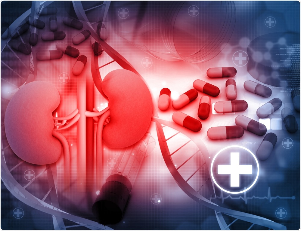 Study: Effects of Allopurinol on the Progression of Chronic Kidney Disease. Image Credit: Bluebay / Shutterstock