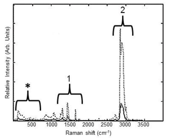 Raman spectra of intact pork fat tissue (dotted line) and melted pork fat (solid line) provide information on fatty acid saturation. Peaks related to lipids in pork tissue are noted in sections 1 and 2. Bands from the sapphire probe, in section *, do not interfere with collection of tissue Raman bands.
