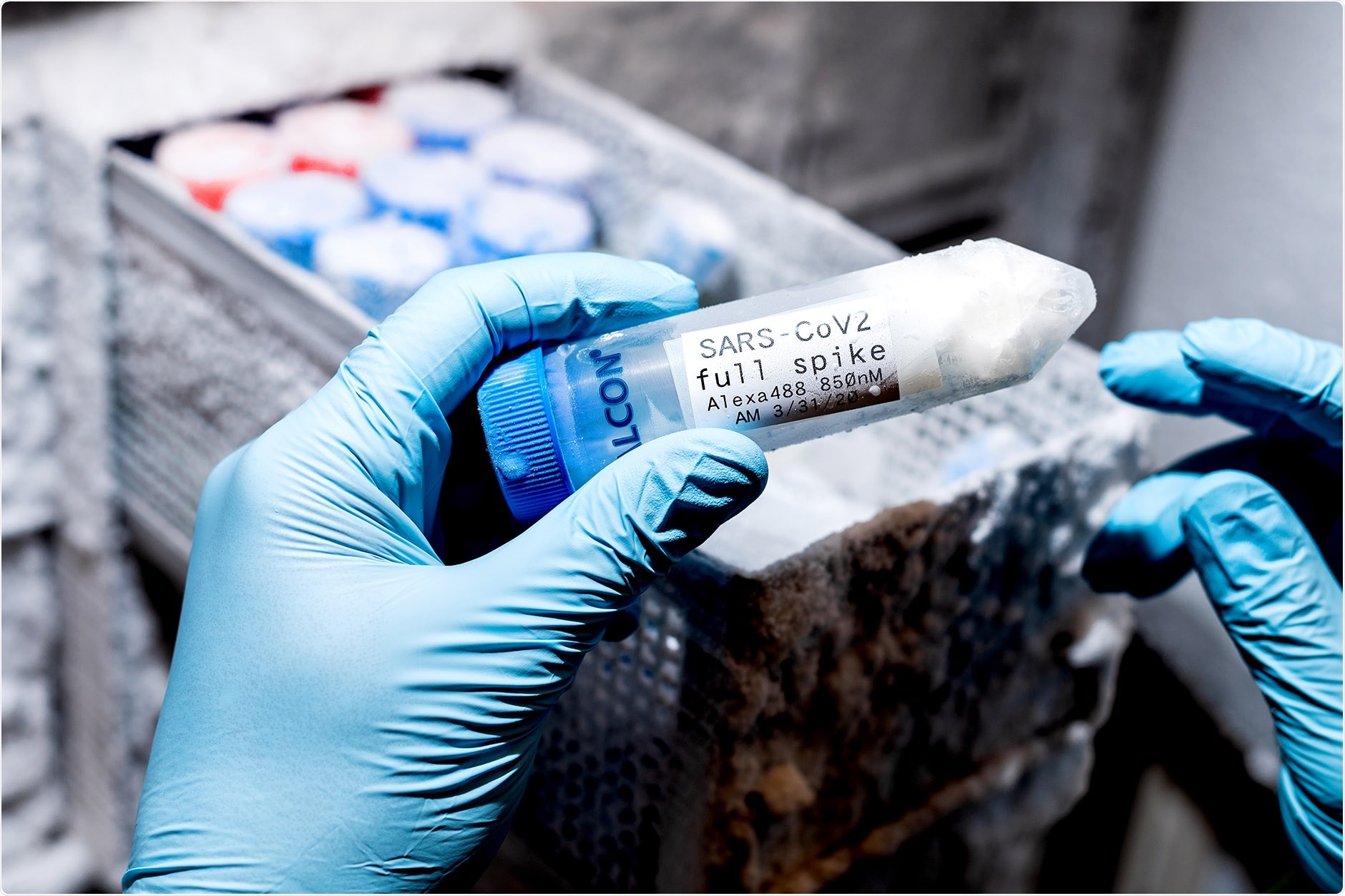 UCSF researchers believed that if they could find nanobodies that impede spike-ACE2 interactions, they could prevent the virus from infecting cells. Photo by Noah Berger