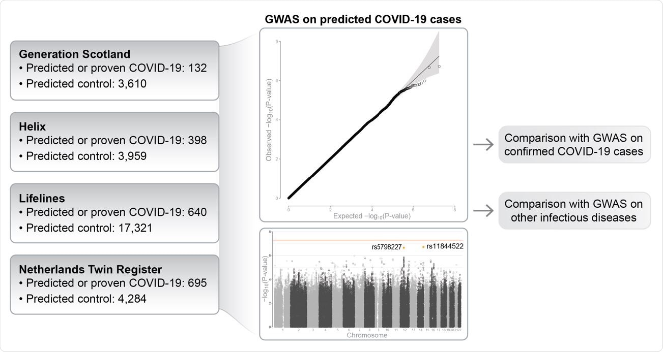 Overview of the main analysis