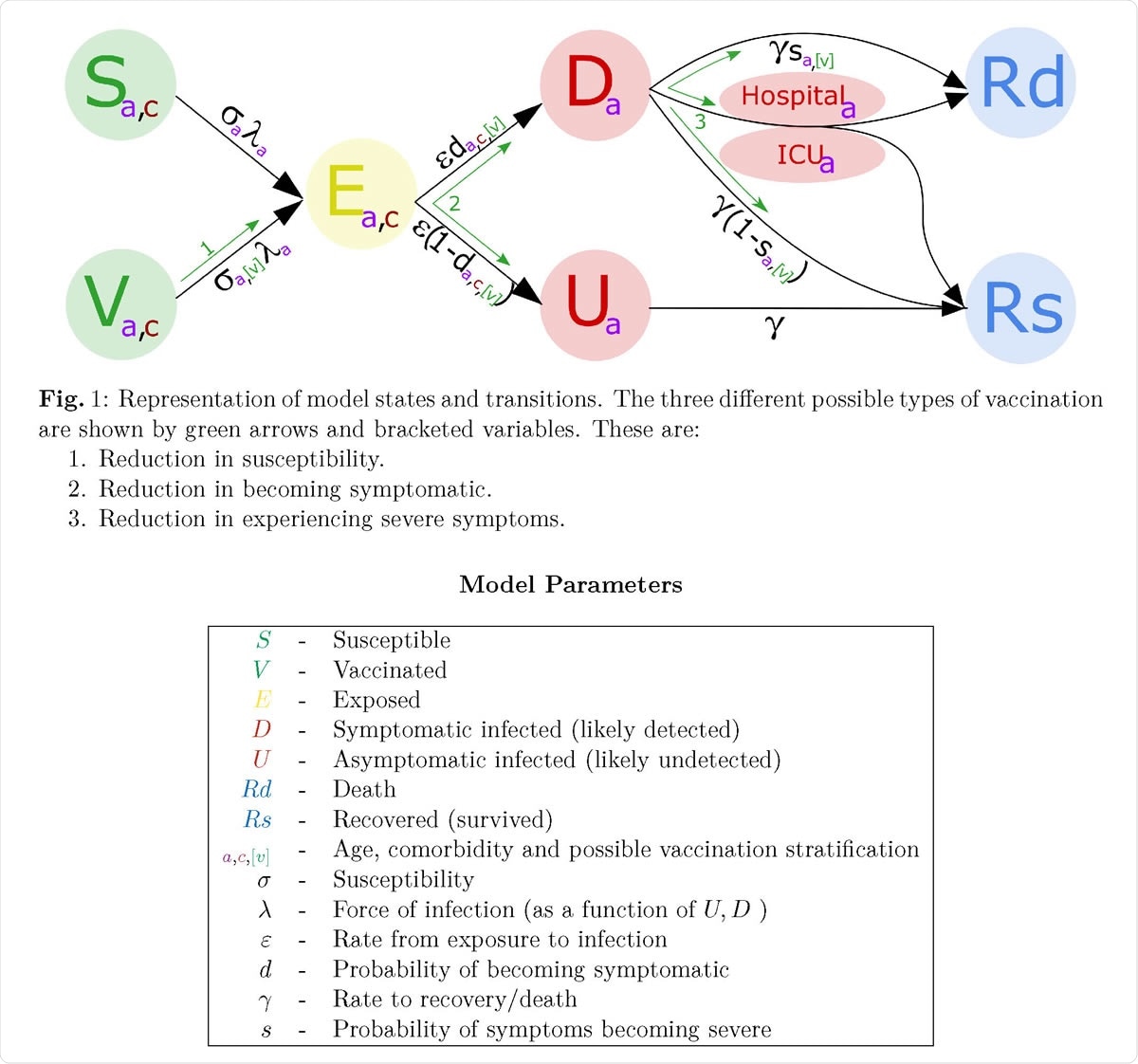 Representation of model states and transitions