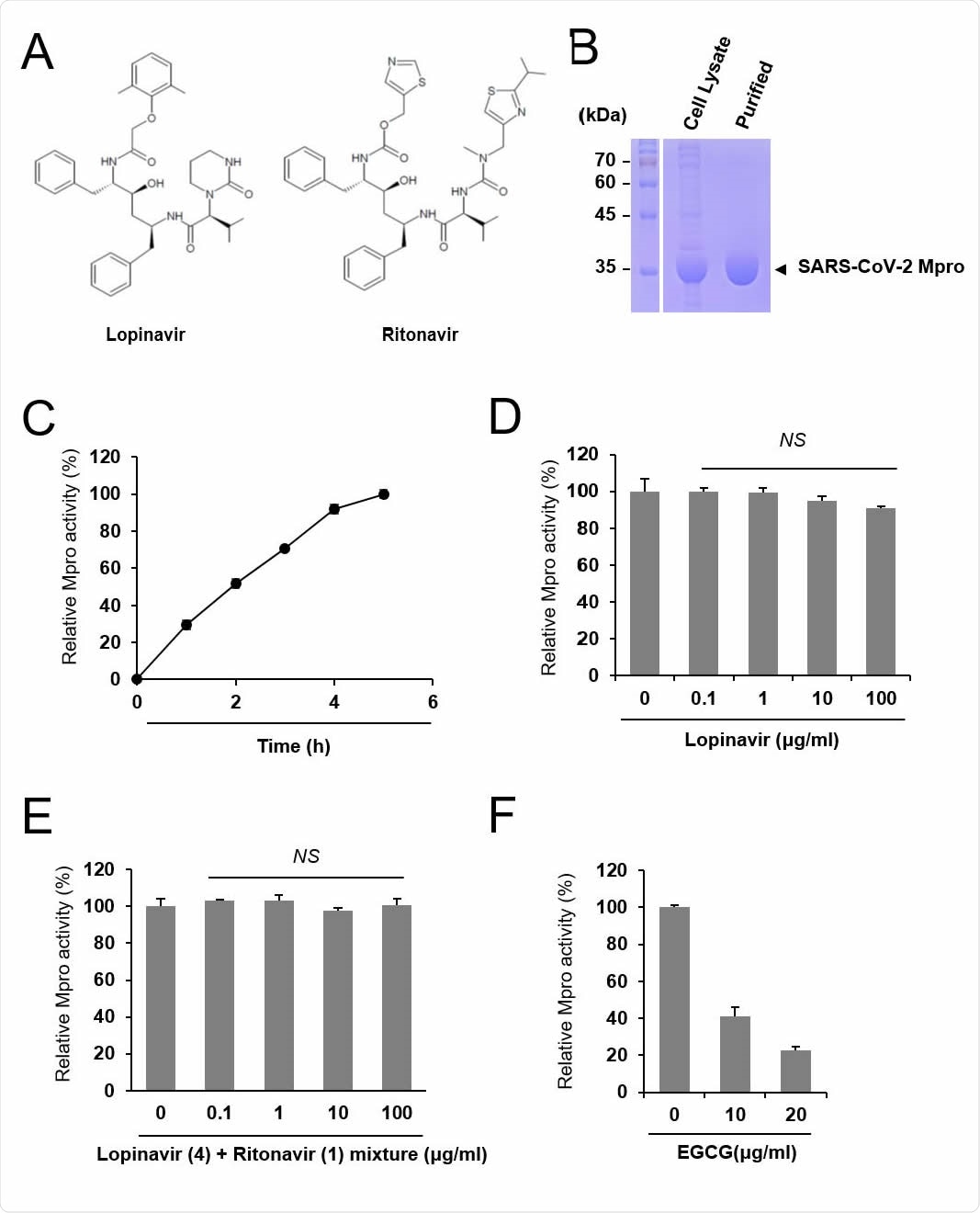 Lopinavir is ineffective to inhibit SARS-CoV-2 Mpro. (A) Chemical structure of lopinavir and ritonavir. (B) Purification of SARS-CoV-2 Mpro. Cell lysate and purified Mpro protein were subject to SDS-PAGE. (C) Measurement of the relative Mpro activity over time. Activity is measured relative to maximal activity at 5 hr. (D) Lopinavir did not inhibit Mpro. Indicated concentrations of lopinavir were incubated with Mpro and the relative protease activity was determined. The Mpro activity was measured in quadruple and the mean and standard deviation are shown. NS, not significant. (E) Mixtures of lopinavir and ritonavir at a weight ratio of 4:1 were incubated with Mpro, and the relative protease activity was determined. (F) EGCG was incubated with Mpro, and the protease activity was examined as a positive control.