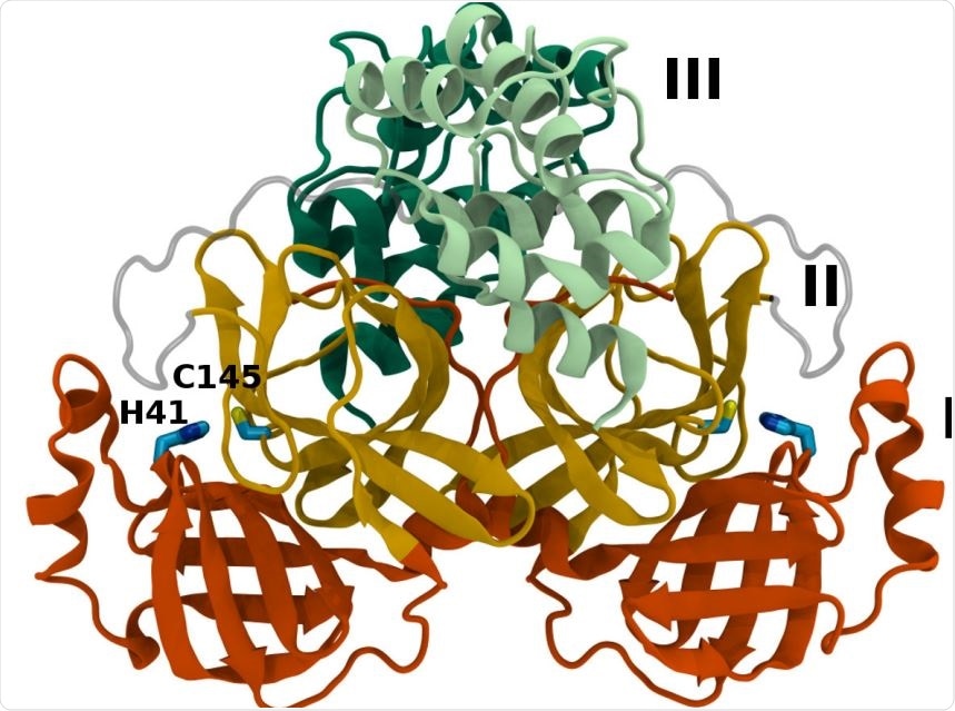 Mpro dimer structure and binding site interactions (PDB entry 6WQF). Mpro homodimer with the three domains illustrated and color coded as follows: Domain I (dark orange), domain II (gold), and domain III (light green/dark green monomer A/B) with the catalytic dyad residues, His41 and Cys145 (rendered in licorice).