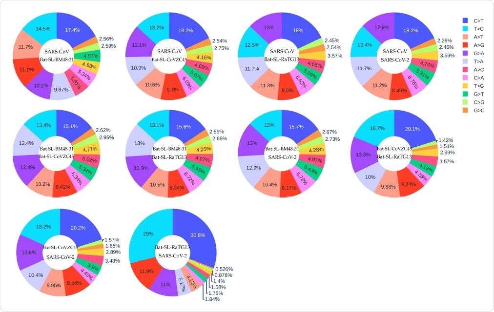 The distribution of 12 SNP types among SARS-CoV, Bat-SL-BM48-31, Bat-SL-CoVZC45, Bat-SL-RaTG13, and SARS-CoV-2. Here, the text on the top represents the reference genome and the text at the bottom represents the mutant sequence.