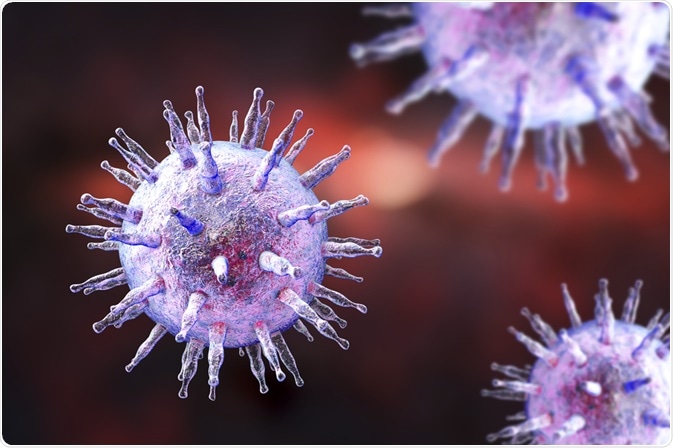 Epstein-Barr virus EBV