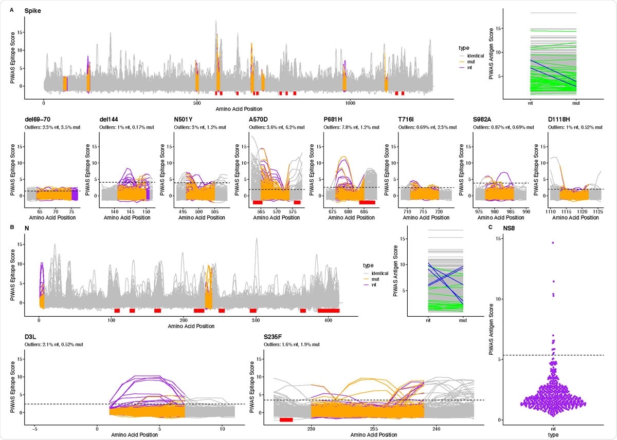 Linear epitope signal in COVID-19 patients for B.1.1.7 SARS-CoV-2. We used PIWAS analysis to examine linear epitope signal against B.1.1.7 SARS-CoV-2 in 579 COVID patients. For (A) spike glycoprotein and (B) nucleoprotein, we performed PIWAS tiling against both wild type (purple) and B.1.1.7 (orange) SARS-CoV-2. Regions outside of the variant region are tiled against the wild-type protein and are marked as identical (grey). Dominant SARSCoV- 2 epitopes identified in Haynes, Kamath, Bozekowski, et al4. are shown with red bars. PIWAS antigen score highlights individuals where the signal changed (green) or decreased by at least 3 (blue) as a result of the strain variants. For each epitope, we show the percentage of outliers (dashed line, PIWAS score > 99th percentile of the pre-pandemic control population) for the wild type and B.1.1.7 mutant. (C) We show non-structural protein 8 PIWAS antigen scores for the wild type SARS-CoV-2 strain relative to the 99th percentile in the pre-pandemic control population.