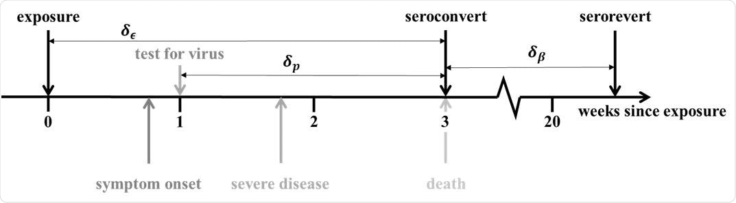 Progression of exposed individuals through the various clinical (below the timeline), and diagnostic (above the timeline) stages of infection and recovery. Stages marked in grey represent events that may happen, with a probability consistent with the darkness of the shade of grey.