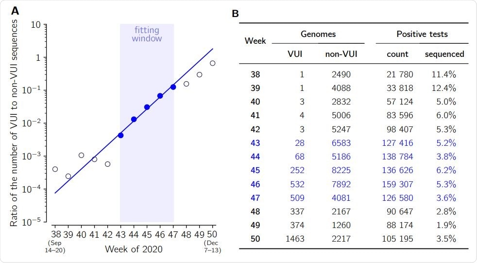 The ratio of VUI-202012/01 to non-VUI-202012/01 genomes collected in weeks 38–50, 2020, based on GISAID data submitted till Dec 26, 2020. The trend line in (A) is fitted to data points from weeks 43–47 (blue), in which the number of collected VUI-202012/01 genomes exceeds 27 and the total number of genomes exceeds 4500 per week. The weekly growth rate is 2.31 [95% CI: 2.08–2.57]. The number of positive cases in (B) is given after https://coronavirus.data.gov.uk/.