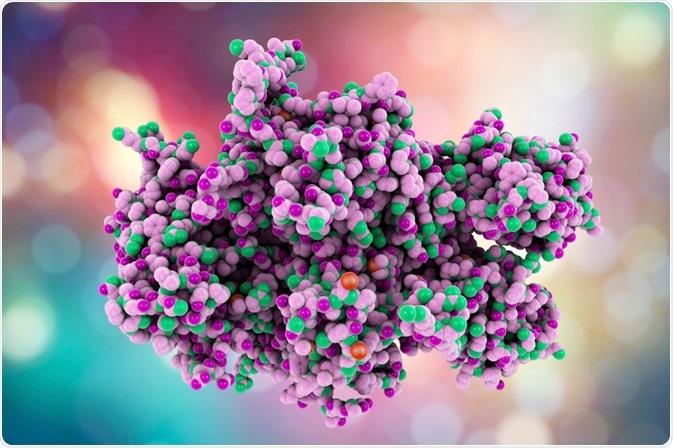 coagulation factor VIII