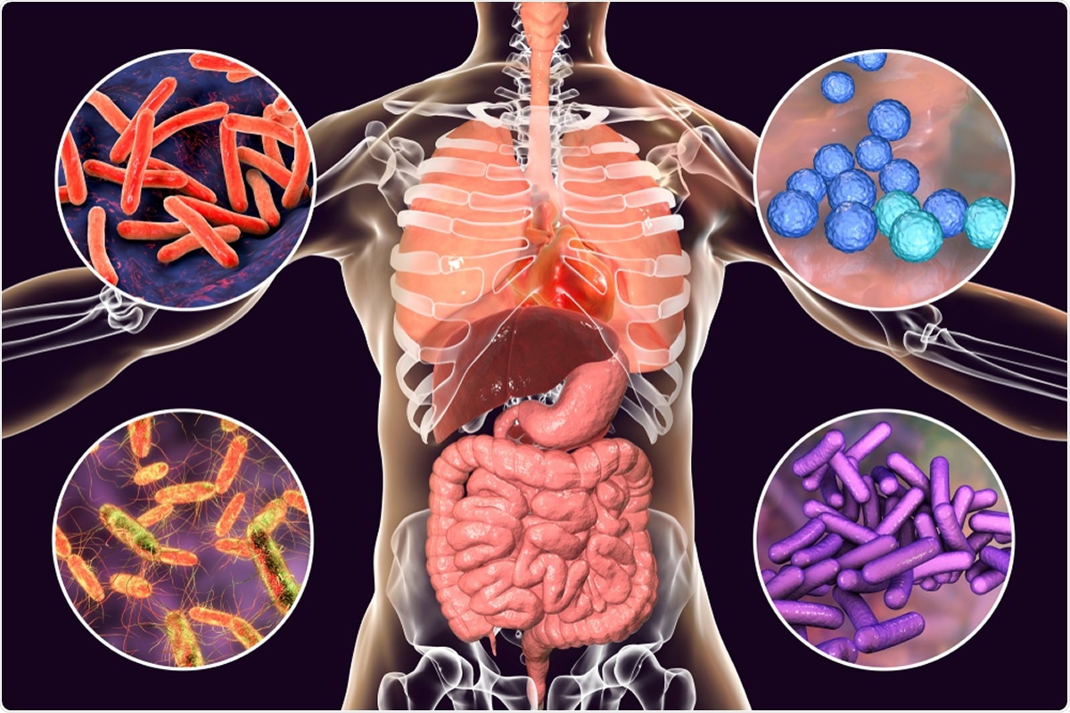 Study: The intestinal and oral microbiomes are robust predictors of covid-19 severity the main predictor of covid-19-related fatality. Image Credit: Kateryna Kon / Shutterstock