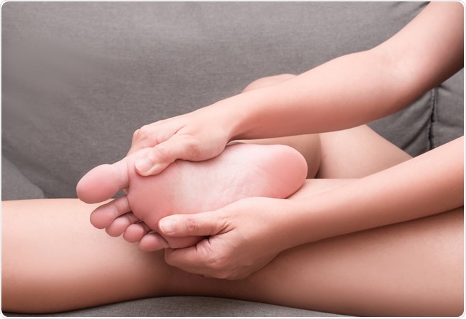 Image Credit: catinsyrup / Shutterstock