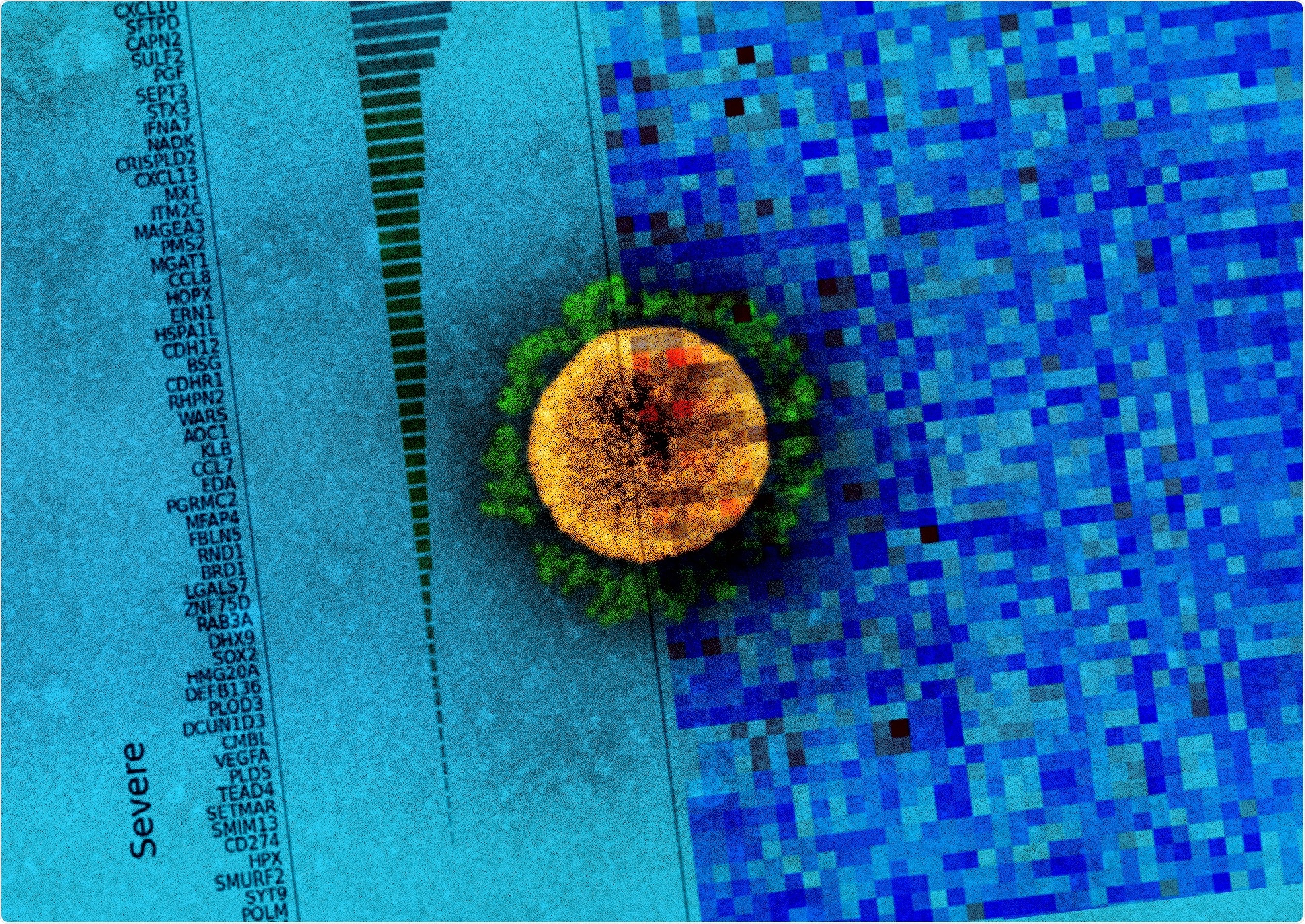 Study: Circulating proteins to predict adverse COVID-19 outcomes. Image Credit: NIAID