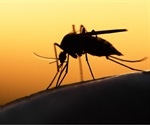 African statisticians provide new insights into malaria prevention