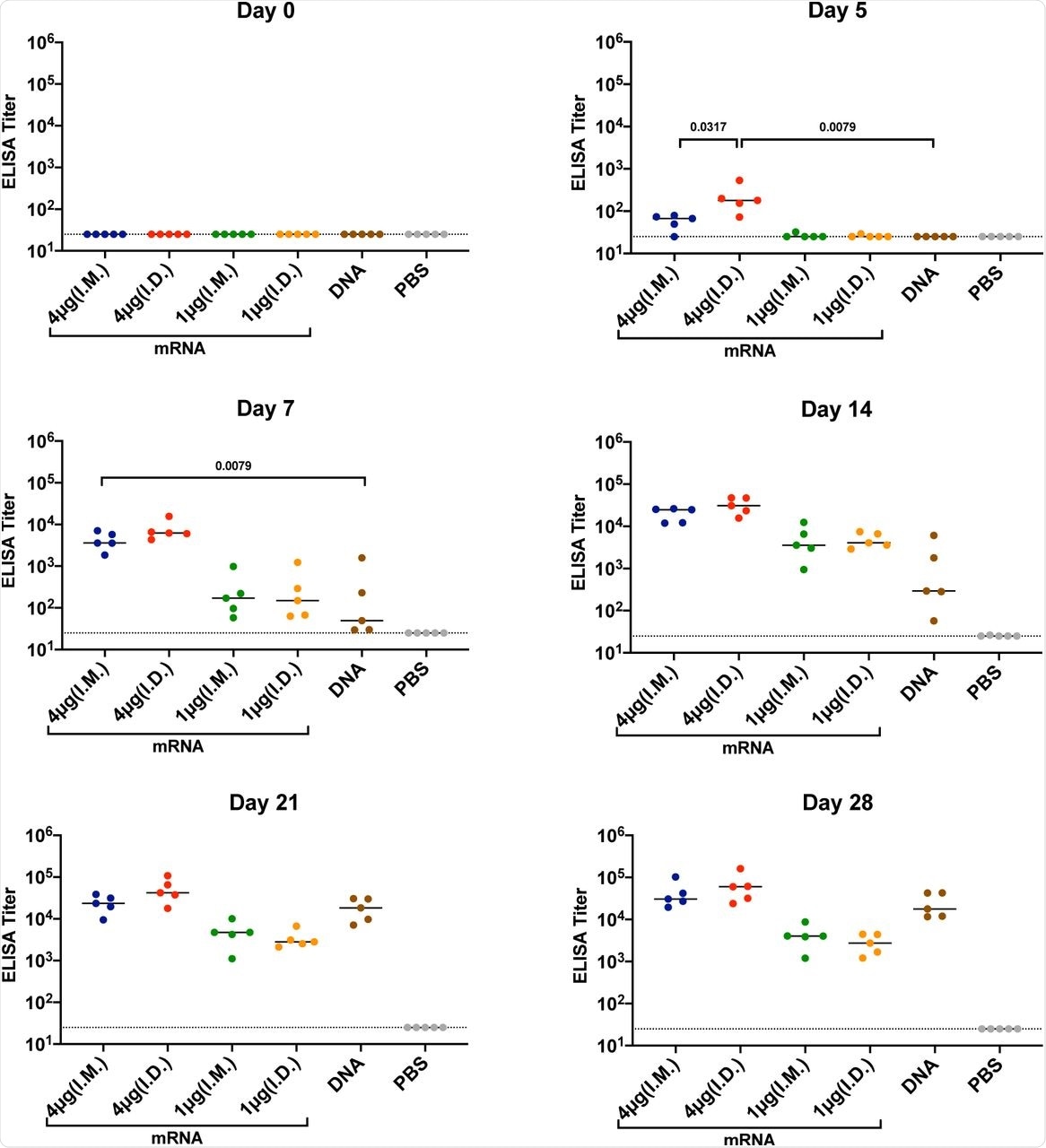 Kinetics of binding antibody responses of mice immunized with SARS-CoV-2 Spike mRNA and DNA vaccines. C57BL/6 mice were immunized I.M. or I.D. with spike encoding mRNA vaccine (1µg or 4µg/mouse), DNA vaccine (50µg/mouse) or PBS. Binding antibody titers were assessed via ELISA at 0, 5, 7, 14, 21 and 28 days post immunization. Each dot represents an individual animal, bars depict the median and the dotted line shows limit of detection. Statistical analysis was performed using Mann-Whitney test. (I.M = intramuscular; I.D. = intradermal)