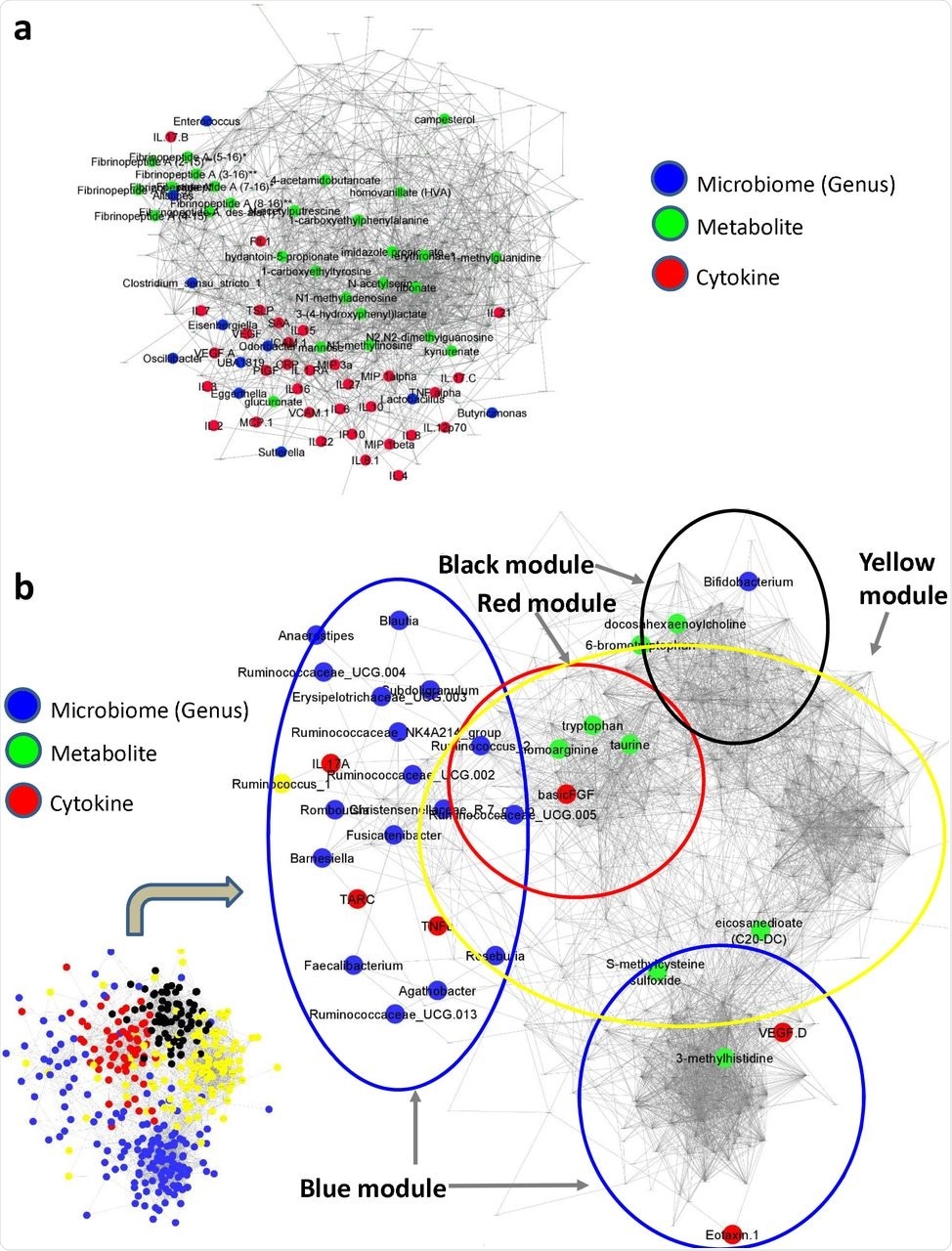 Modules that positively correlate with severe and fatal COVID-19. Feature-to-feature positive association networks obtained using the ccrepe approach (Spearman correlations, 1000 iterations) for modules (or Module groups) that show (a) significantly positive (‘turquoise’) and (b) significantly negative (‘red’, ‘blue’, ‘yellow’, and ‘black’) associations with severe and fatal COVID-19. In (b) given the presence of features from four different modules, the location of the features belonging to the different modules are indicated in the smaller network representation in the lower left-hand corner. Microbiome, cytokine and metabolite features that are associated with severity and death are highlighted in different colours.