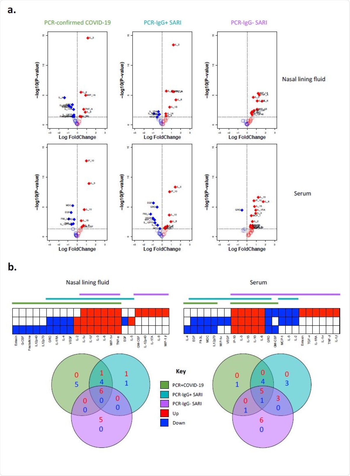 Cytokine concentrations in nasal lining fluid and serum. a) Volcano plots showing differential cytokine concentrations in nasal lining fluid and serum of PCR-confirmed COVID-19, PCR- /IgG+ SARI and PCR-/IgG- SARI patients compared to health controls. The horizontal dotted line represents a cut-off for statistical significance, while the vertical dotted line represents a cut-off point for determining whether the levels of the cytokines were higher (right, red) or lower (left, blue) compared to healthy controls. b) Venn diagrams showing similarities in cytokine concentrations among the PCR-confirmed COVID-19 (green), PCR-/IgG+ SARI (turquoise) and PCR- /IgG- SARI (purple) patients in nasal lining fluid and serum relative to healthy controls. Numbers in Venn diagrams represent the number of cytokines that were either higher (red) or lower (blue) than healthy controls common among the study groups. Data were analysed using empirical Bayes moderated t-tests (Healthy controls,