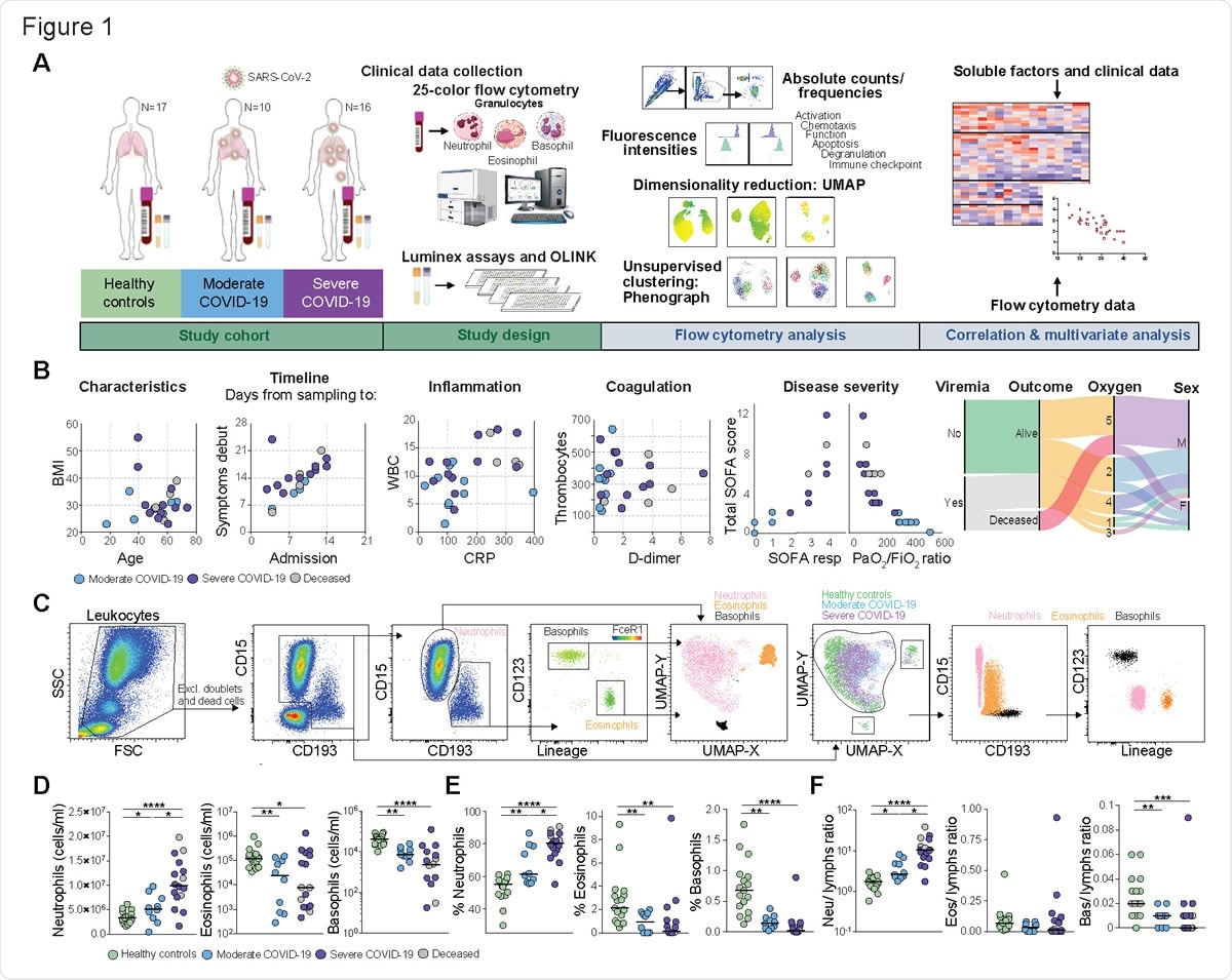 Disease severity-dependent neutrophilia and marked decrease of eosinophils and basophils in COVID-19. (A) Experimental and analytical workflow of the study performed on samples from moderate and severe COVID-19 patients and age-matched healthy controls. (B) Dot plots (left) and alluvial diagram (right) describing demographics and the clinical characteristics of the patients included in the study cohort. Severity groups (moderate=blue;
